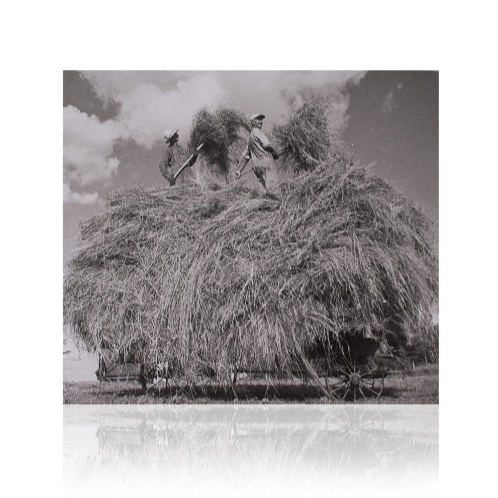 William Elliott Whitmore (Field Songs) CD