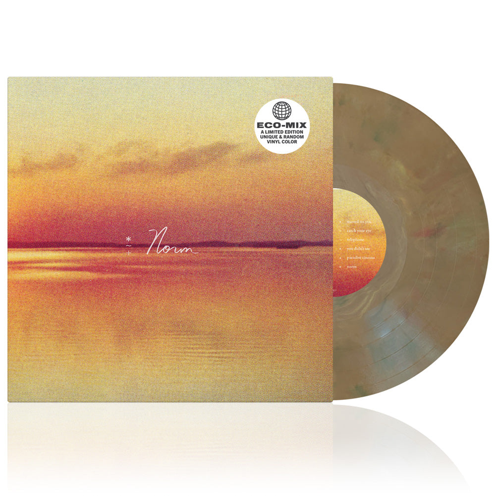 Andy Shauf (Norm) Eco Mix Vinyl