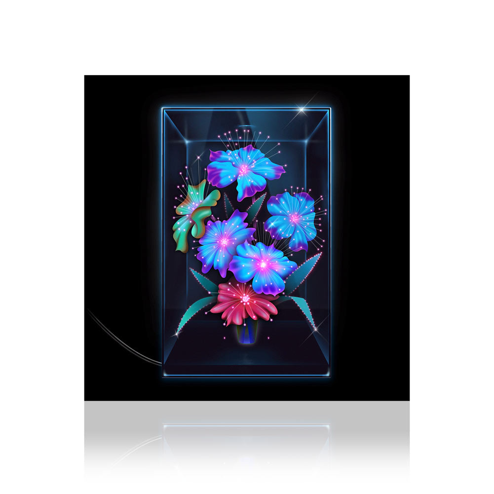 Xenia Rubinos (Una Rosa) CD