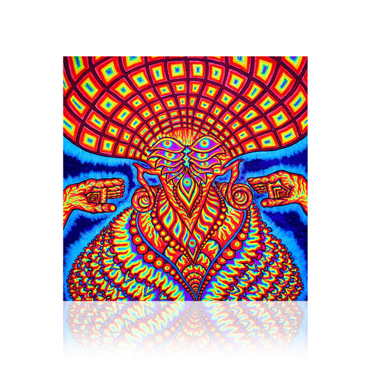 The Dream Syndicate (The Universe Inside) CD